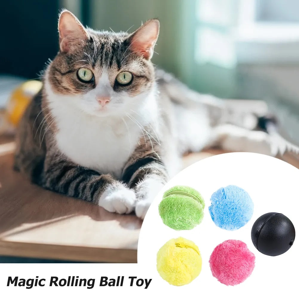 WELSGI PET™ : Active Rolling Ball