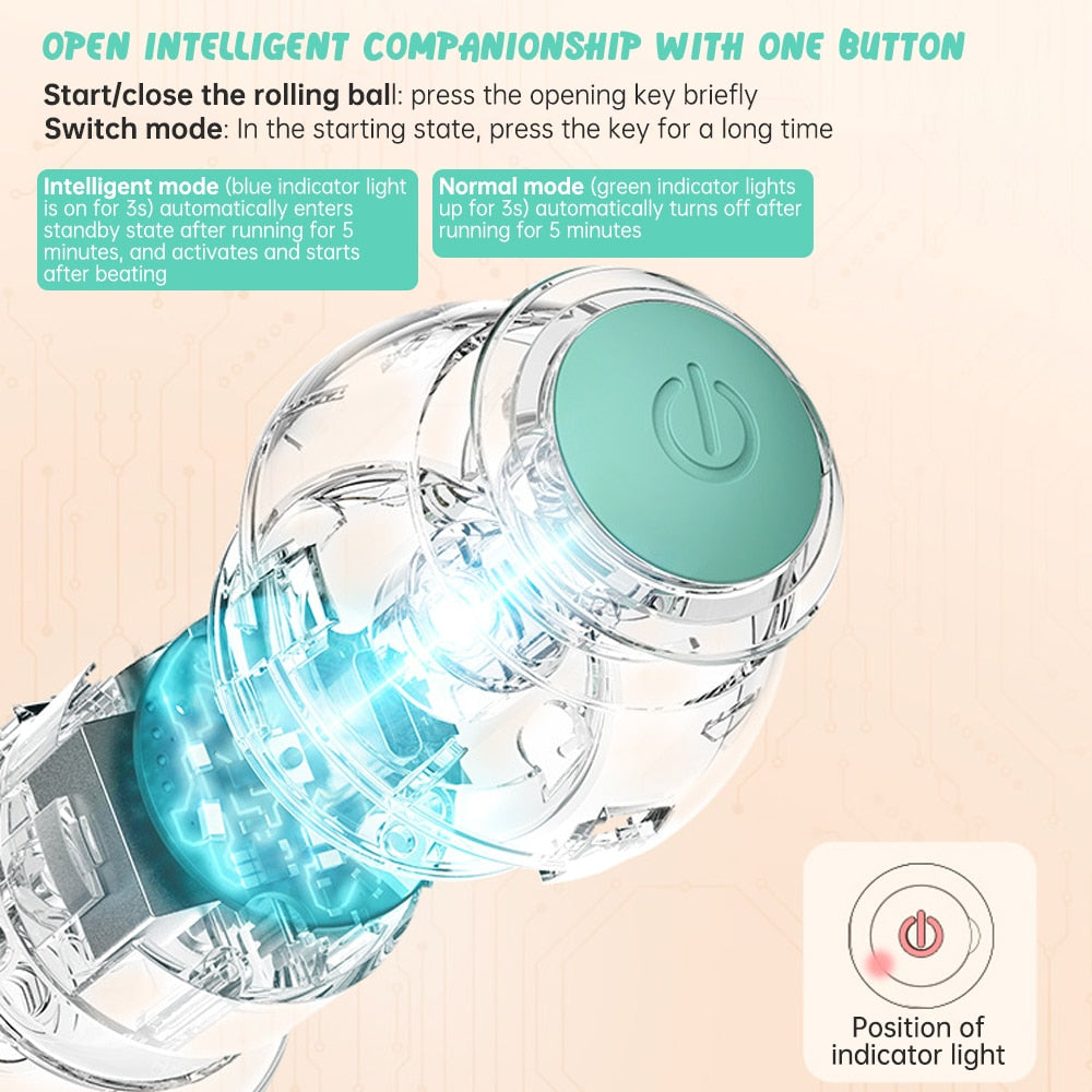 WELSGI PET⢠: Active Rolling Ball 2.0